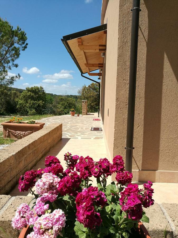 Sonnellino In Maremma Villa Massa Marittima Exterior foto