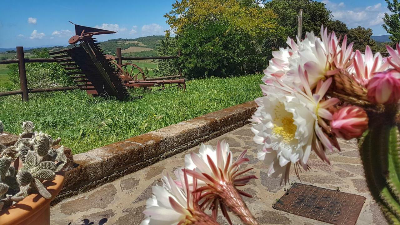 Sonnellino In Maremma Villa Massa Marittima Exterior foto